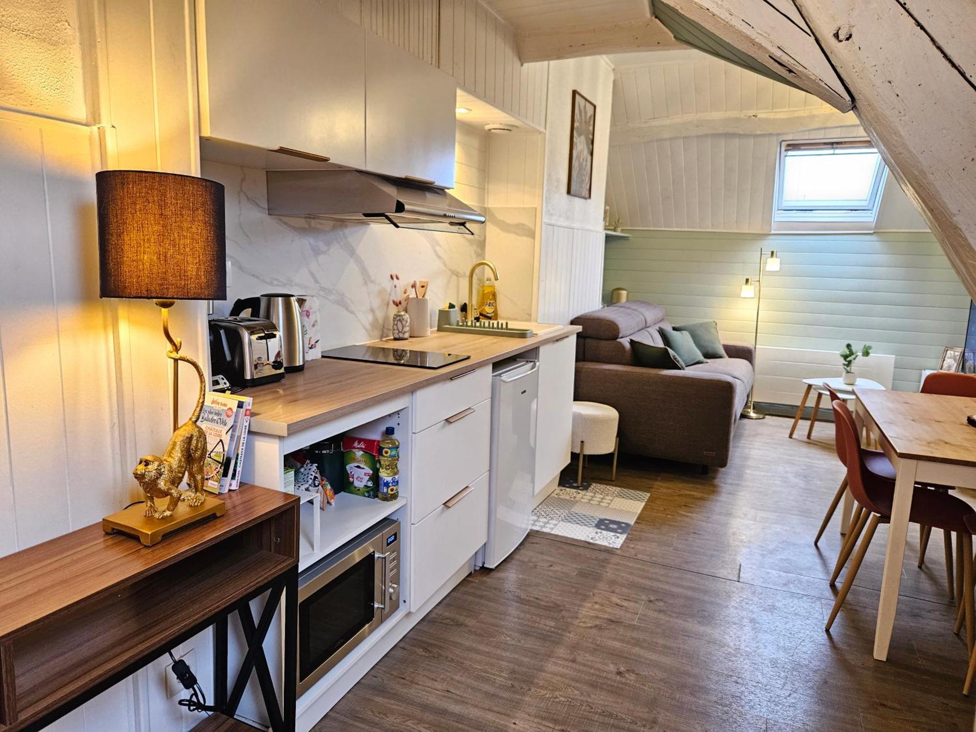 T2 Ctre Fibre Literie Emma Apartment Montrichard